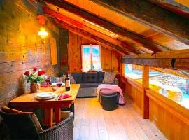 Lake Thun Alps Scenic Views and Concierge by SwissHut