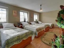 Apartamenty i Pokoje Karpacz - centrum Karpacza, parking w cenie!