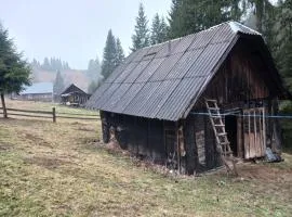 Лісова світлиця