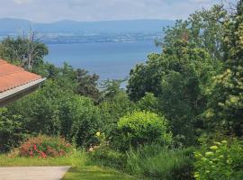 Les Bruyeres au Lac, hotel i Publier