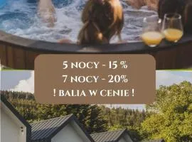 Sowie Chatki - domki z widokiem na Góry Sowie