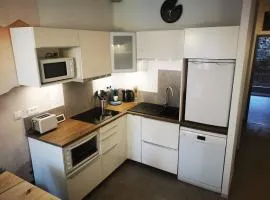 Appartement pied des télécabines - Centre ville
