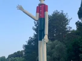 Il gatto e la volpe 1