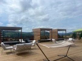 Ours Brun - Vue Panoramique La Bresse-Gerardmer