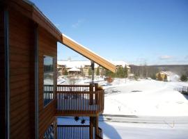'Gone Ski In' at Slopeside, hotel i Bellaire