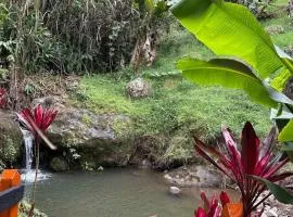 Hostal Finca Los Girasoles