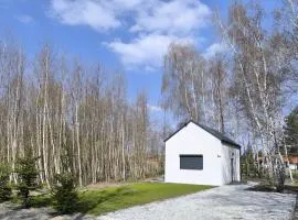 Szumiące Brzozy w Dolinie Baryczy