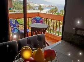 Estudio con vista al mar