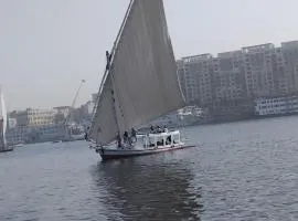 Royal Felucca - Shared Amazing Sailing