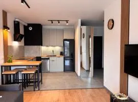 Apartament LOFT Ogrody Andersa