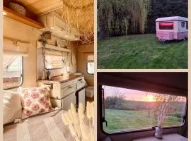 Caravane 'Cute and Cosy' à la Ferme de la Chevêche - Namur - Ardennes