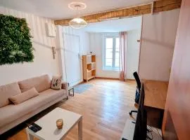 Le Clou de Coeur - appartement hypercentre
