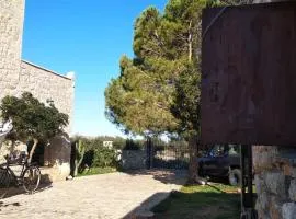 Μεδ-οίκων Γιατριάνων House