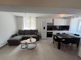 Appartement T3 proche aéroport Lyon , parking et Wi-Fi