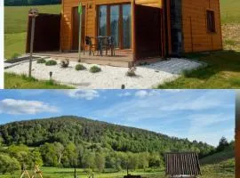 Domki pod Bukowym Lasem