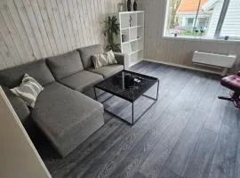 Koselig enebolig i Sentrum