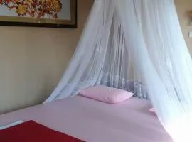 Monkey Business Tours & Accommodation