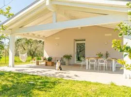 Casa RiVa - Among olive trees and the Tuscan coast