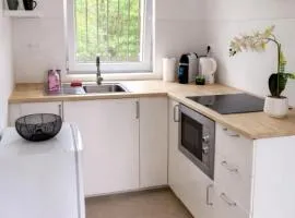 Appartement cosy 1 chambre avec SDB et cuisine