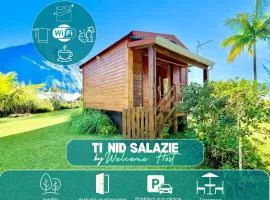Ti Nid Salazie, Bungalow créole et vue montagne