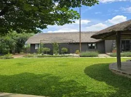 The House On The Hill