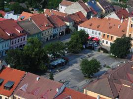 Hotel Zlatý Kříž, hotel v Kaplici