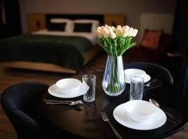 Apartament Centrum z tarasem prywatny parking