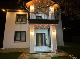 Yeşilyurt villa