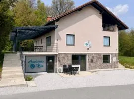 Rooms and apartments Biš