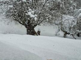 Vasos Home, hotel i Tusheti
