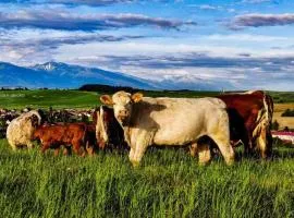 Ferienwohnung Seese Wansleben am See