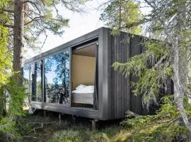 Modern Cabin By The Cross-Country Trails