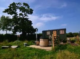 Charlotte-Rose Shepherd's Hut