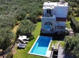 Sea view villa Manolis with private pool near the beach