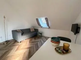 Charmant studio moderne avec jardin privé