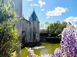 Château de la Preuille Bed & Breakfast