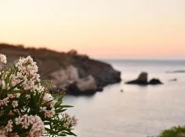 Elefthia Syros - Luxury Houses & Suites