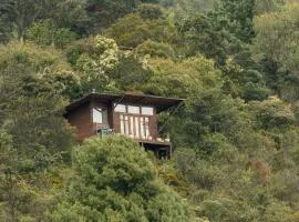 Biofilia Colombia