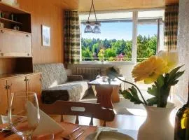 JÜRGEN Haus KMB Seeappartement am Ossiacher See, Hallenbad, Skiarena Gerlitzen