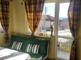 Апартамент за гости Вамсон