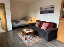 Gemütliches Appartment in ruhiger und zentrumsnaher Lage in Bad Soden am Taunus