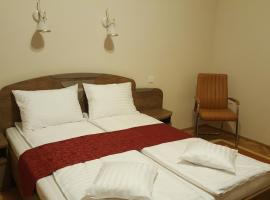 Satu Mare Apartments, hotel en Satu Mare