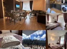 Alenik Private Apartment -Pamporovo