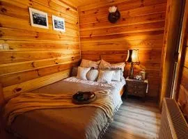 Klejniki - domek na kolonii, domek w lesie