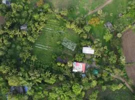 Chandrachhaya Agro Farms Boisar