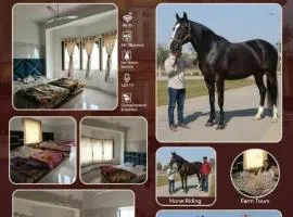 Hotel om banna