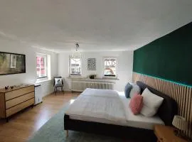 bird's nest Ferienwohnung in der Altstadt voll ausgestattete Küche SMART-TV