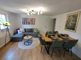 bird's nest Ferienwohnung in der Altstadt voll ausgestattete Küche SMART-TV