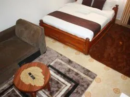 Joy fully furnished apartment