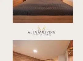 Moderne Ferienwohnung mit Ifenblick, Panorama & Parkplatz